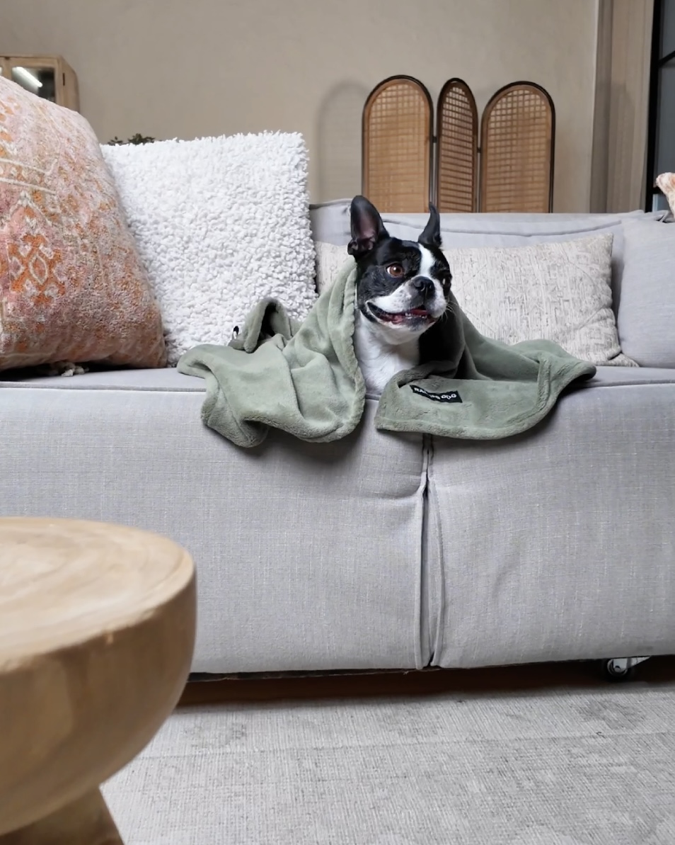 LUCKY pihe-puha kutya takaró, zöld